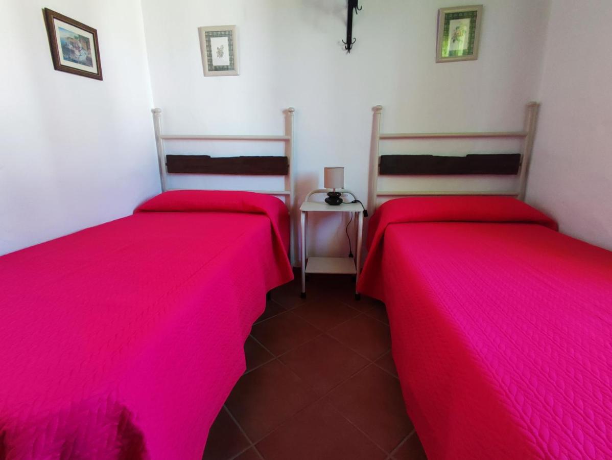 El Cortijo De Pepa Villa Conil De La Frontera Dış mekan fotoğraf